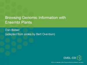 Browsing Genomic Information with Ensembl Plants Dan Bolser