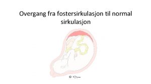 Overgang fra fostersirkulasjon til normal sirkulasjon Bakgrunnsinformasjon om