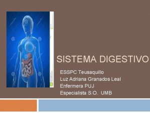 SISTEMA DIGESTIVO ESSPC Teusaquillo Luz Adriana Granados Leal