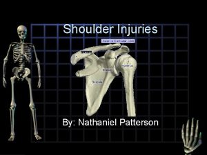 Shoulder Injuries Clavicle By Nathaniel Patterson Anatomy Of