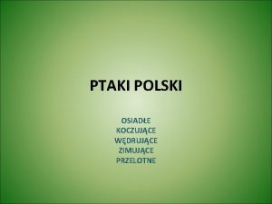 PTAKI POLSKI OSIADE KOCZUJCE WDRUJCE ZIMUJCE PRZELOTNE PTAKI