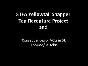 STFA Yellowtail Snapper TagRecapture Project and Consequences of