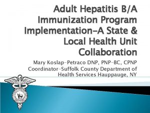 Adult Hepatitis BA Immunization Program ImplementationA State Local