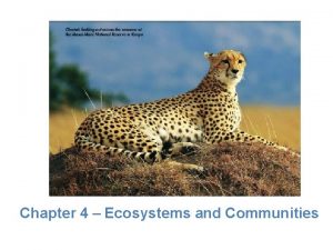 Lesson Overview Climate Chapter 4 Ecosystems and Communities