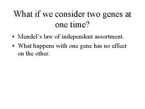 What if we consider two genes at one