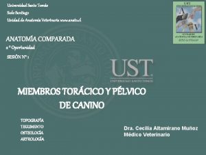 Universidad Santo Toms Sede Santiago Unidad de Anatoma