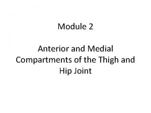 Module 2 Anterior and Medial Compartments of the