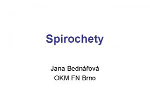 Spirochety Jana Bednov OKM FN Brno Spirochety d