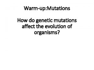 Warmup Mutations How do genetic mutations affect the