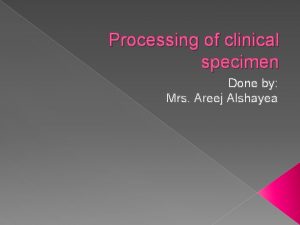 Processing of clinical specimen Done by Mrs Areej