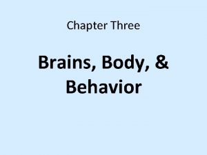 Chapter Three Brains Body Behavior The Neuron Building