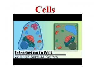 Cells Chapter 7 Cellular Structure and Function 7