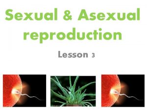 Sexual Asexual reproduction Lesson 3 Lesson 3 Pollination