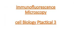 Immunofluorescence Microscopy cell Biology Ptactical 3 Immunofluorescence Microscopy