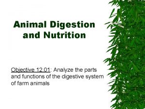 Animal Digestion and Nutrition Objective 12 01 Analyze