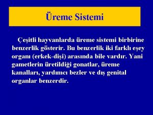 reme Sistemi eitli hayvanlarda reme sistemi birbirine benzerlik