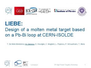 LIEBE Design of a molten metal target based