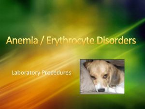 Anemia Erythrocyte Disorders Laboratory Procedures Anemia a condition