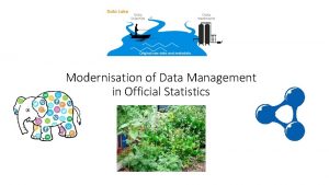 Modernisation of Data Management in Official Statistics Problem