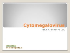 Cytomegalovirus RNDr K Roubalov CSc www vidia cz