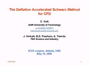 The Deflation Accelerated Schwarz Method for CFD C