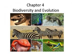 Chapter 4 Biodiversity and Evolution What is Biodiversity