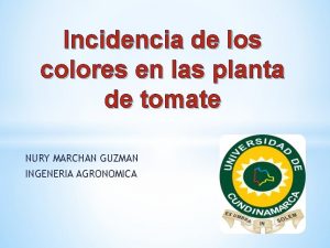 Incidencia de los colores en las planta de