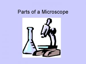 Parts of a Microscope Body Tube Revolving Nosepiece