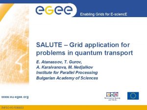 Enabling Grids for Escienc E SALUTE Grid application