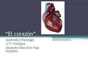 El corazn Anatoma y Fisiologa 5 C Farmacia