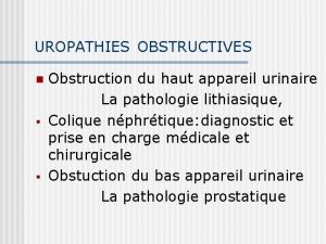 UROPATHIES OBSTRUCTIVES n Obstruction du haut appareil urinaire