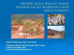 PROSPEK ZEOLIT SEBAGAI BAHAN PENJERAP DALAM REMEDIASI LAHAN