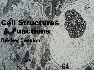 Cell Structures Functions Review Session Topic Cell Theory