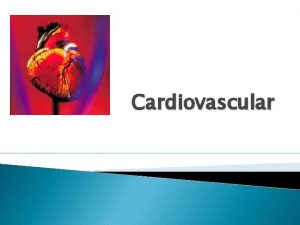 Cardiovascular Blood Vessels Arteries largest blood vessel carries