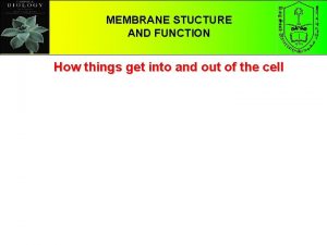 CHAPTER 5 MEMBRANE STUCTURE THE STRUCTURE AND FUNCTION