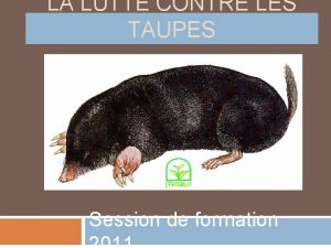 LA LUTTE CONTRE LES TAUPES Session de formation