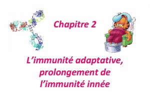 Chapitre 2 Limmunit adaptative prolongement de limmunit inne