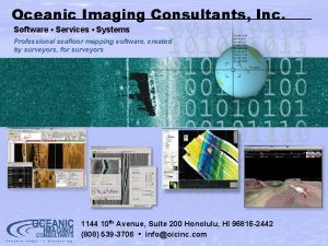 Oceanic Imaging Consultants Inc Software Services Systems Professional