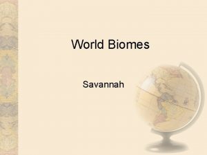 World Biomes Savannah Distribution of biome A savanna