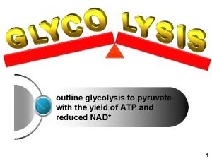 outline glycolysis to pyruvate with the yield of