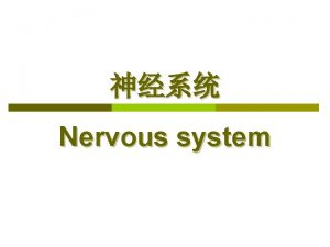Nervous system Introduction 1 Divisions of nervous system