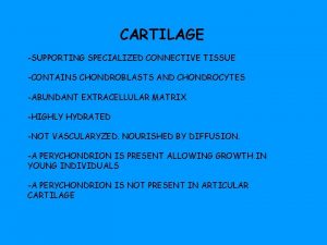 CARTILAGE SUPPORTING SPECIALIZED CONNECTIVE TISSUE CONTAINS CHONDROBLASTS AND