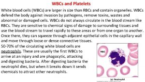 WBCs and Platelets White blood cells WBCs are