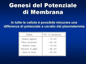 Genesi del Potenziale di Membrana In tutte le