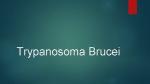 Trypanosoma Brucei Trypanosoma brucei Protist Symptoms T b