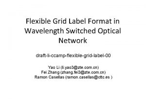 Flexible Grid Label Format in Wavelength Switched Optical