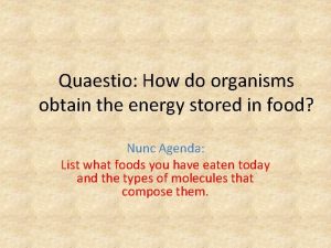 Quaestio How do organisms obtain the energy stored