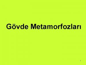 Gvde Metamorfozlar 1 Gvde Metamorfozlar Kendi grevinden baka