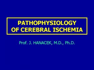 PATHOPHYSIOLOGY OF CEREBRAL ISCHEMIA Prof J HANACEK M