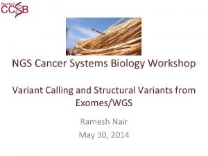 NGS Cancer Systems Biology Workshop Variant Calling and